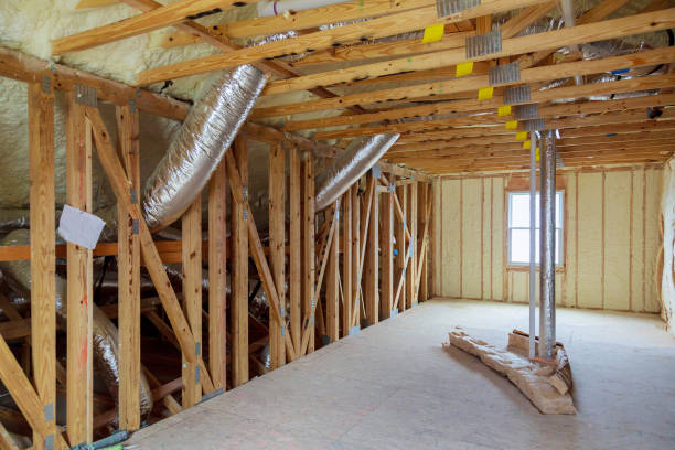 Best Home Insulation Services  in Clermont, GA