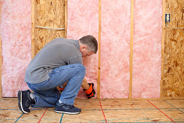 Best Blown-in Insulation  in Clermont, GA